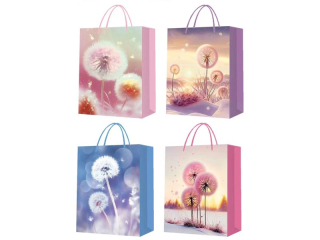 taška LUX 30x40x12cm XL papír 210g-510