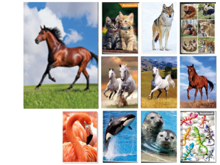 zápisník A6 50 listů prázdný 3D obrázek-mix