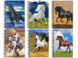 zápisník A6 50 listů prázdný 3D obrázek-063 koně