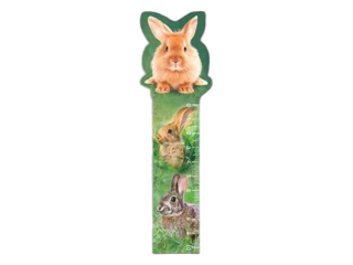pravítko 10cm 3D obrázek s násobilkou-107 králík
