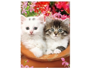 magnet 3D obrázek - zvířata 65x82mm-koťata