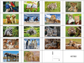 pohlednice 3D obrázek 11x16cm-063