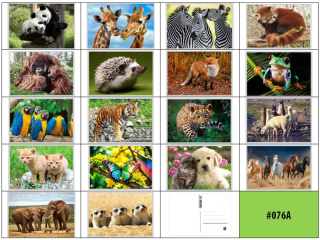 pohlednice 3D obrázek 11x16cm-076A