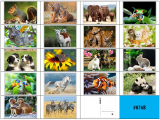 pohlednice 3D obrázek 11x16cm-076B